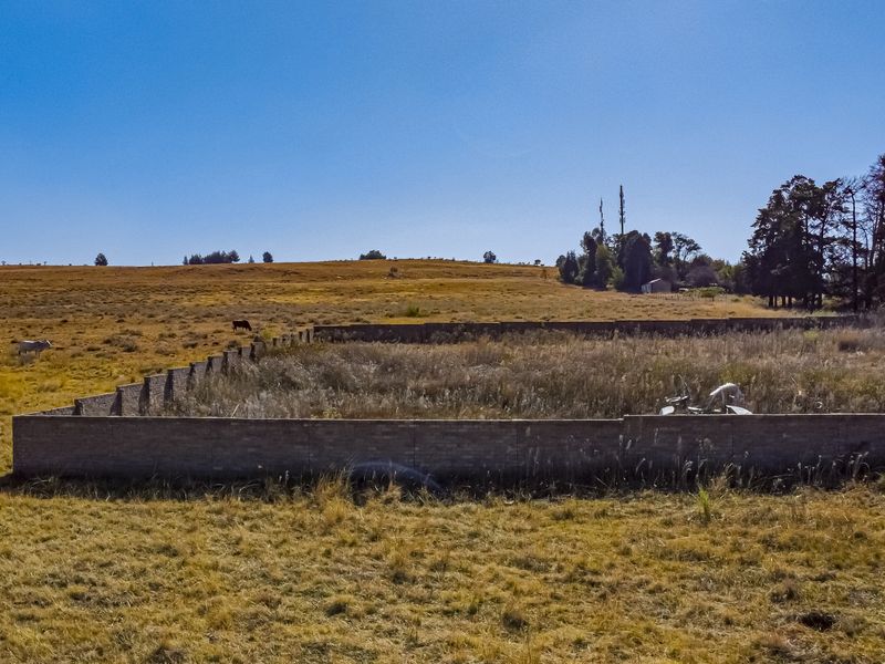 14 Hectares of Affordable Land Near R82 – Discover This Hidden Treasure Today - Photo 4