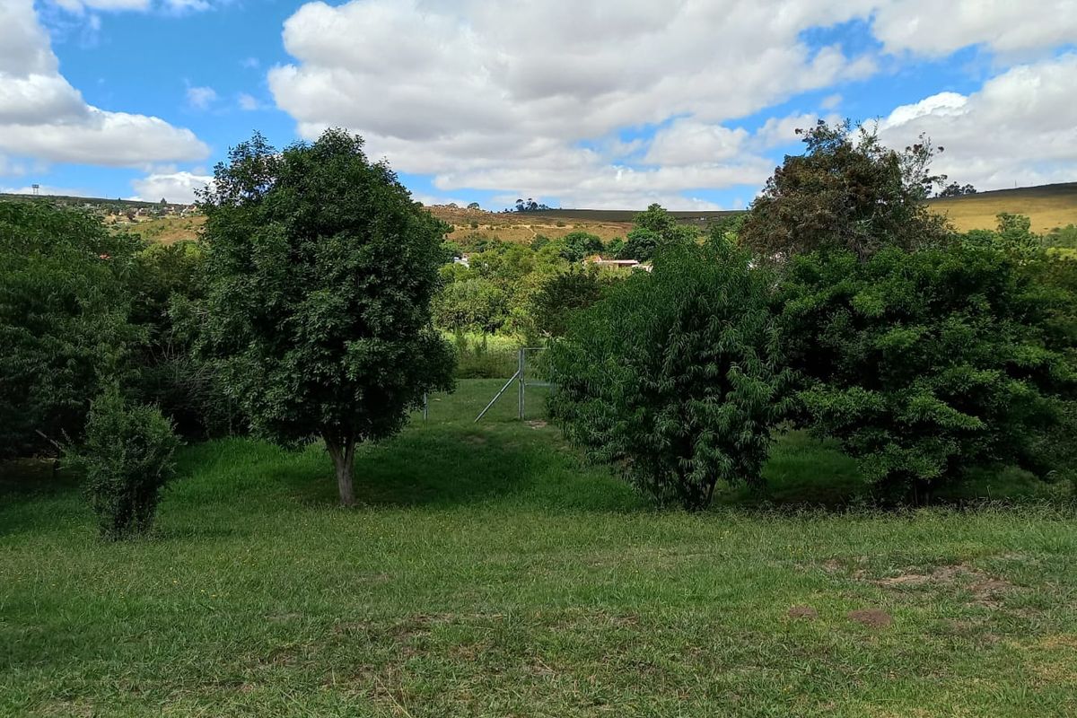 RIVERFRONT PROPERTY FOR SALE - Photo 2