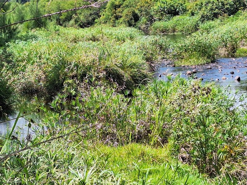 RIVERFRONT PROPERTY FOR SALE - Photo 4