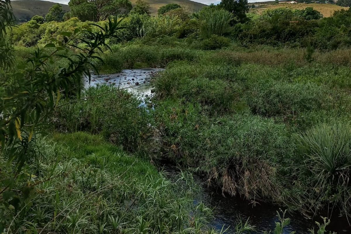 RIVERFRONT PROPERTY FOR SALE - Photo 3