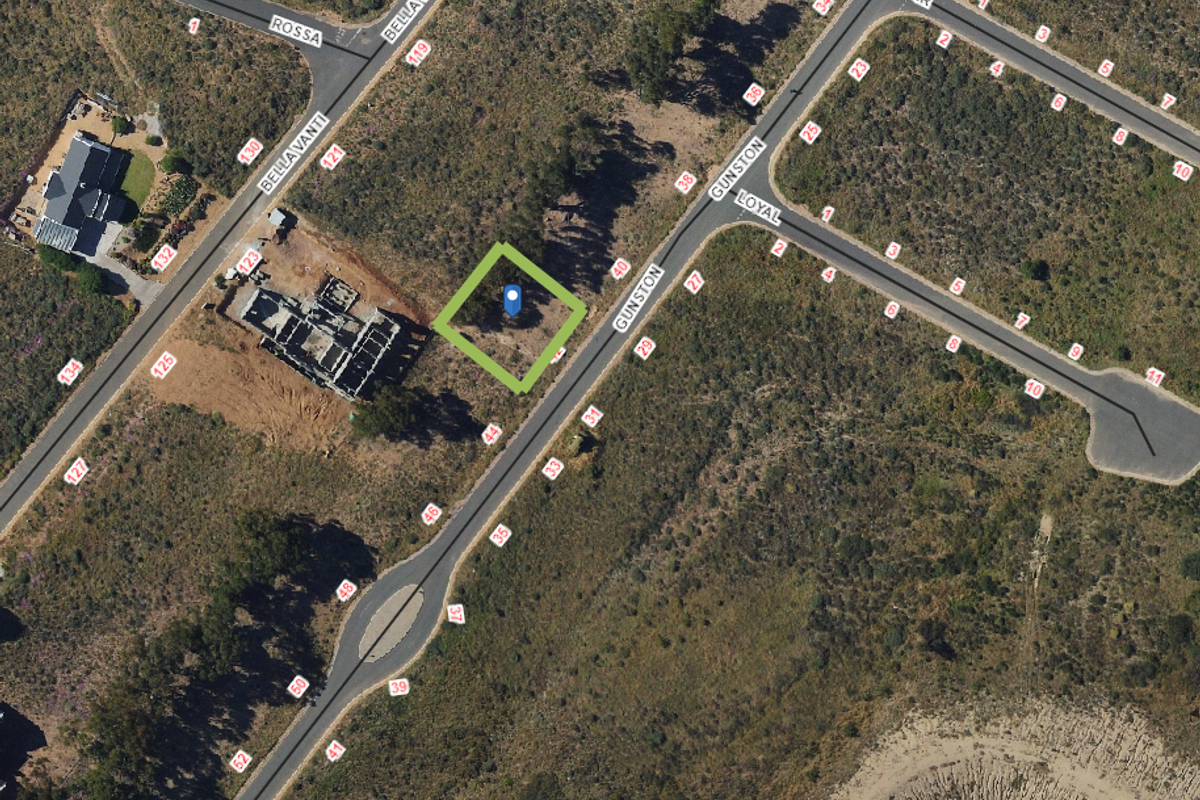Aerial view of a vacant residential plot situated at the corner of Gunston and Loyal streets, highlighting the property boundaries and surrounding neighborhood layout.