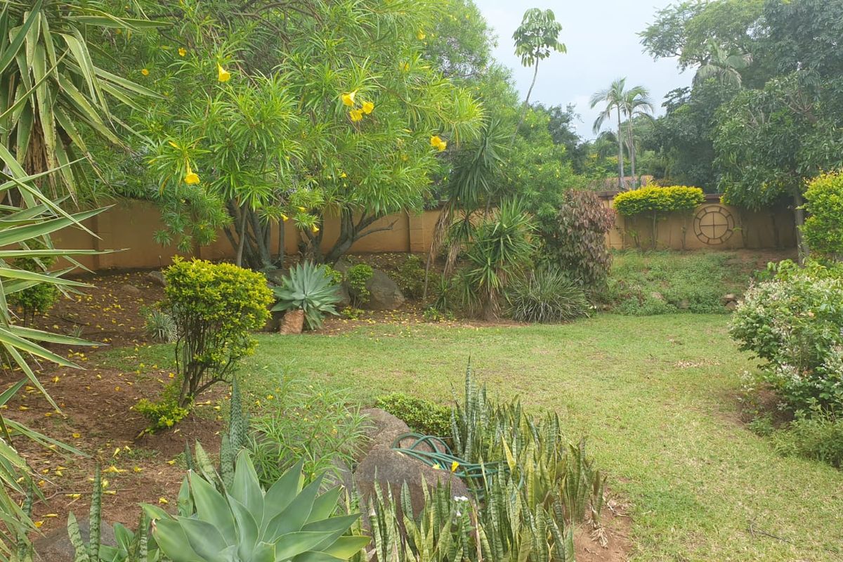 Your Ideal Family Retreat in Barberton, Priced to Sell - Photo 2