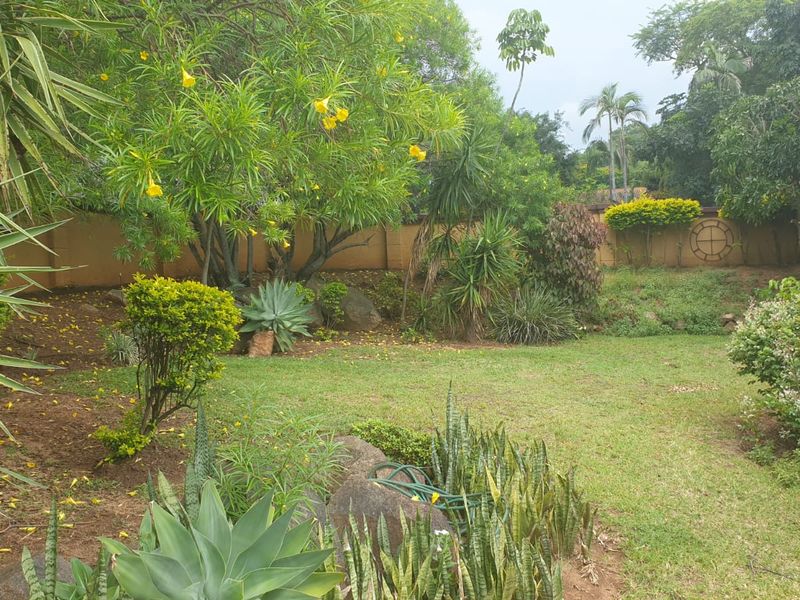 Your Ideal Family Retreat in Barberton, Priced to Sell - Photo 2