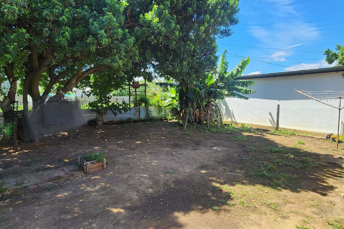 A spacious rear garden area featuring mature trees, a corrugated metal fence, and a large masonry wall, offering potential for landscaping and outdoor development.