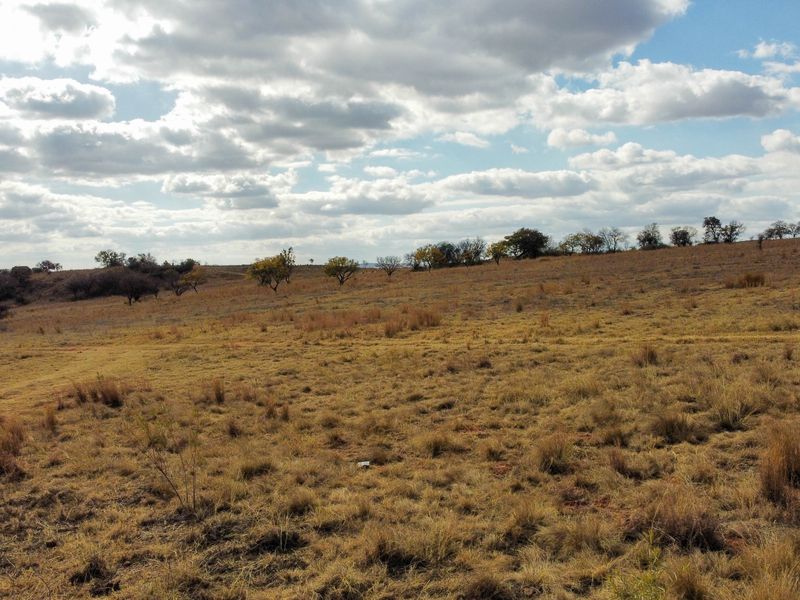 An elevated view of a large, undeveloped residential plot featuring natural grass and scattered trees under a cloudy sky.
