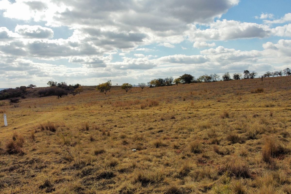 An elevated view of a large, undeveloped residential plot featuring natural grass and scattered trees under a cloudy sky.