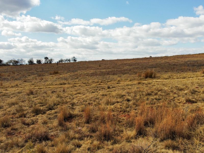 A wide-angle view of an expansive, undeveloped residential land plot featuring natural grassland and open terrain under a clear sky.