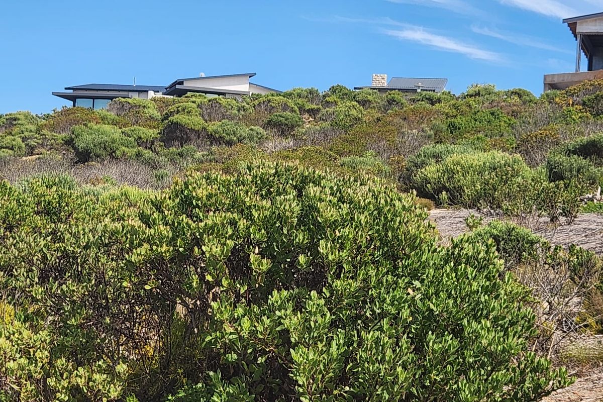 A Tranquil Retreat with Ocean Views - Photo 2