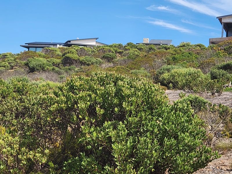 A Tranquil Retreat with Ocean Views - Photo 2