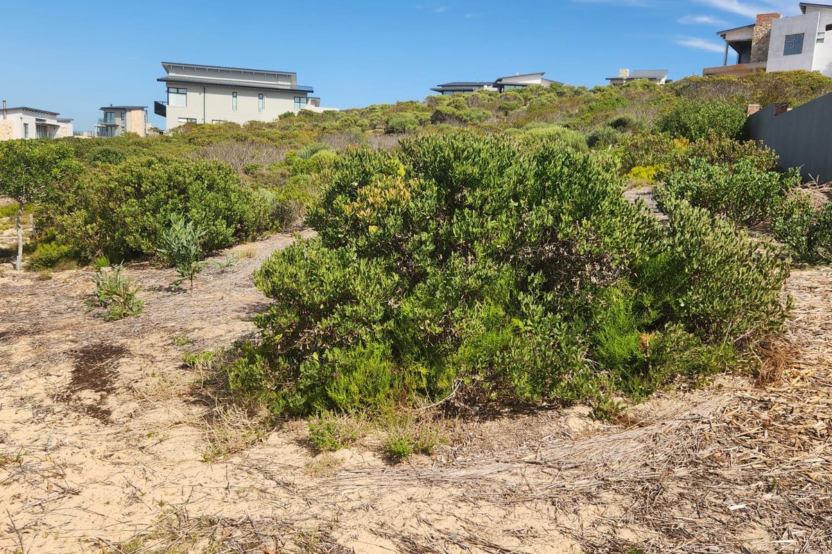 A Tranquil Retreat with Ocean Views - Photo 4