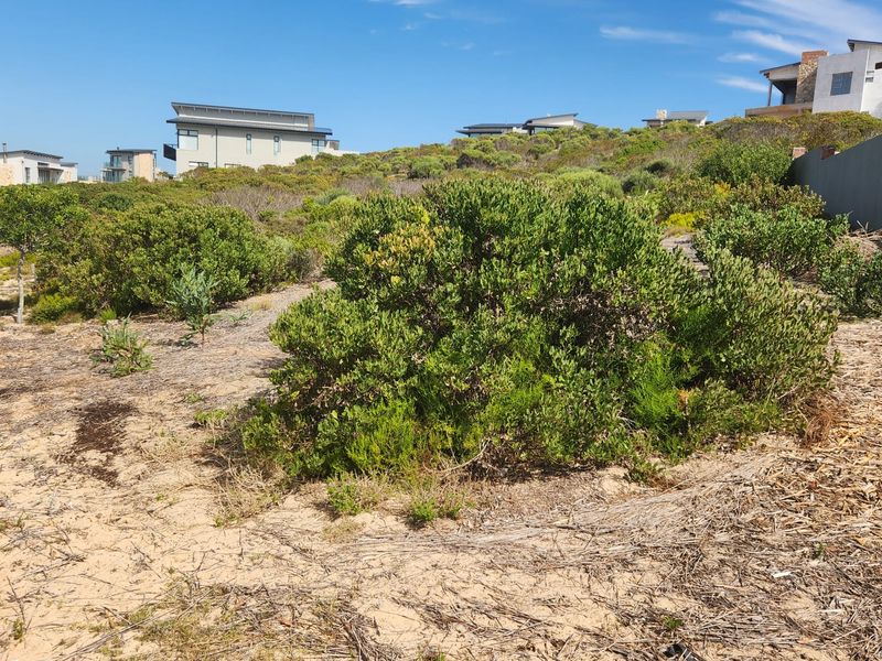 A Tranquil Retreat with Ocean Views - Photo 4