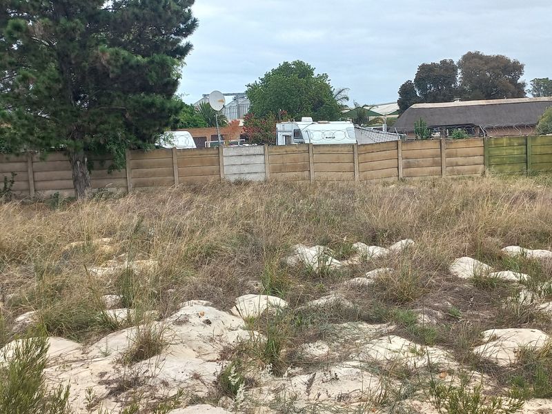 A vacant residential plot featuring sandy terrain, overgrown grass, and a precast concrete boundary wall with established trees.