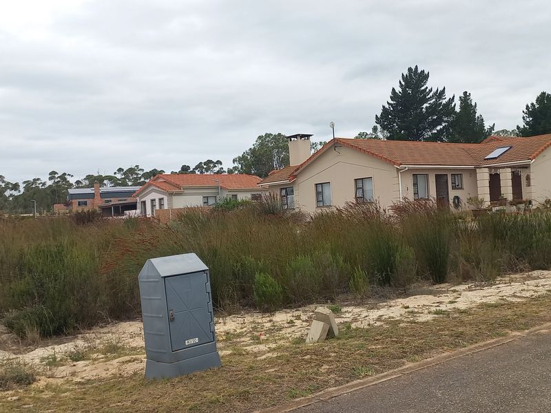 A view of a vacant residential plot featuring native vegetation, an electrical utility box, and adjacent residential housing.