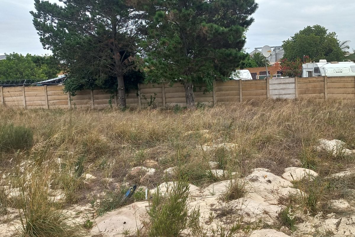A vacant residential plot featuring natural vegetation, sandy soil, and a precast concrete boundary wall with mature trees.