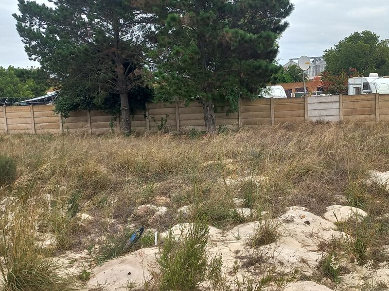 A vacant residential plot featuring natural vegetation, sandy soil, and a precast concrete boundary wall with mature trees.