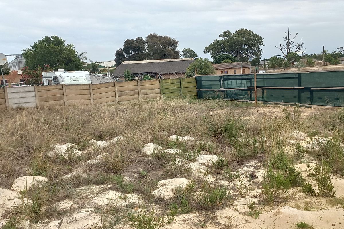 LEVEL VACANT LAND - Photo 4