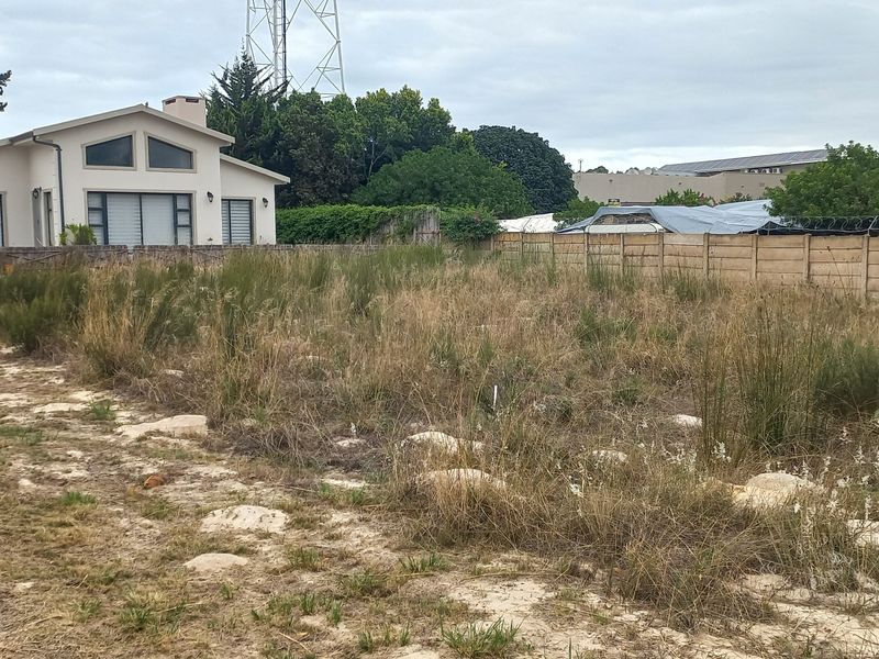 A vacant residential plot featuring natural ground cover and a precast concrete boundary wall, situated in an established neighborhood.