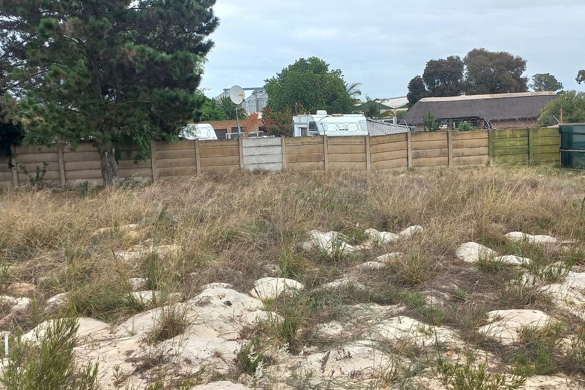 A vacant residential plot featuring sandy terrain, overgrown grass, and a precast concrete boundary wall with established trees.