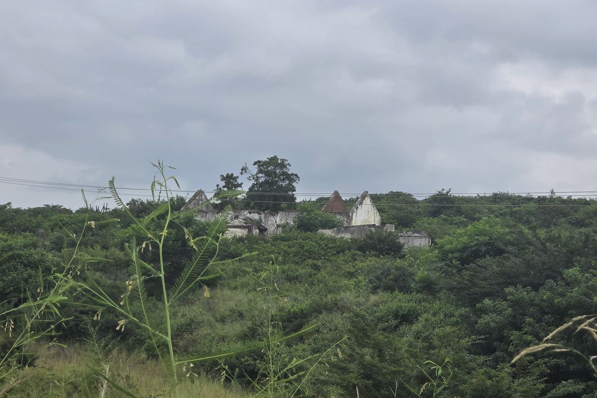 Your Peaceful 4.5-Hectare Countryside Haven - Photo 2