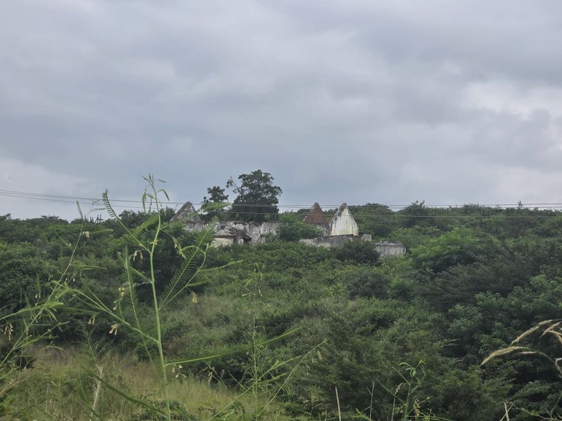 Your Peaceful 4.5-Hectare Countryside Haven - Photo 2