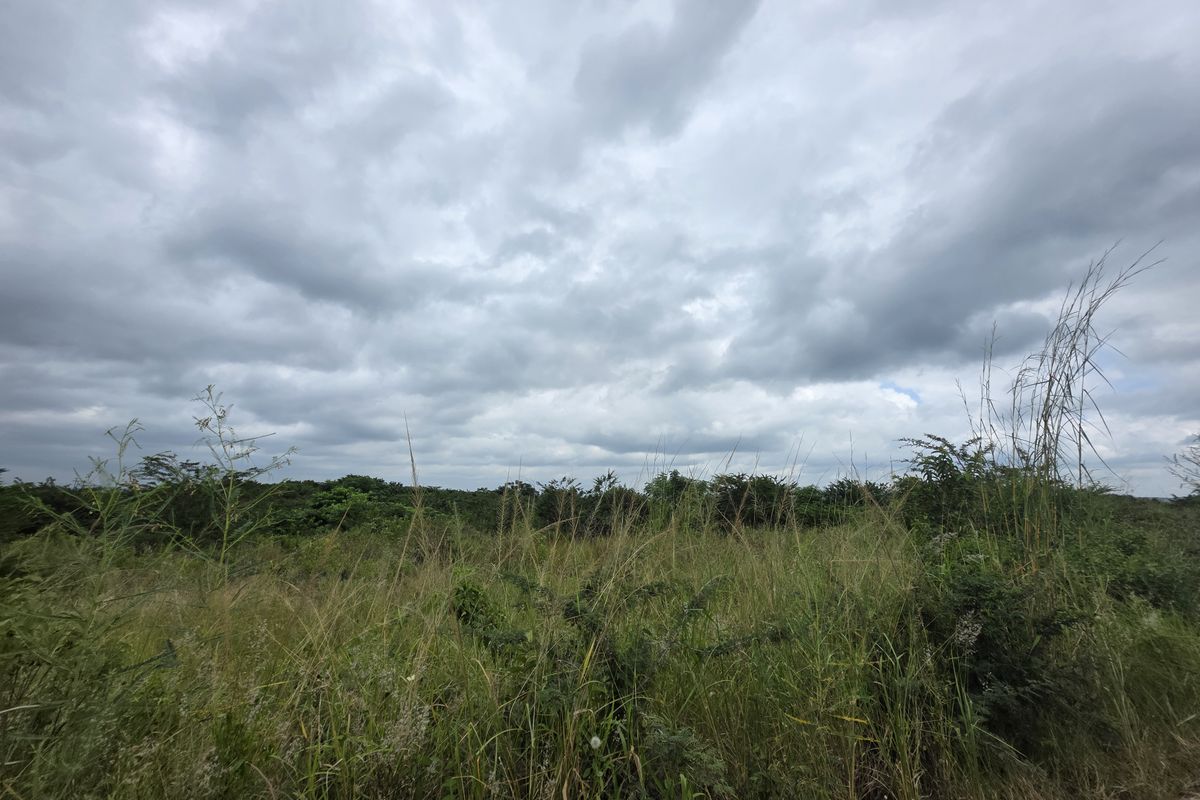 Your Peaceful 4.5-Hectare Countryside Haven - Photo 4