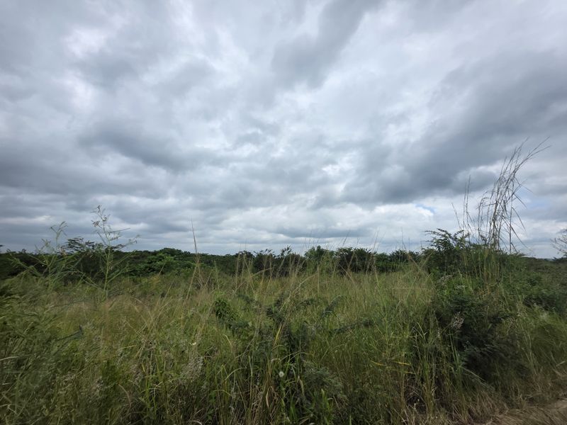 Your Peaceful 4.5-Hectare Countryside Haven - Photo 4