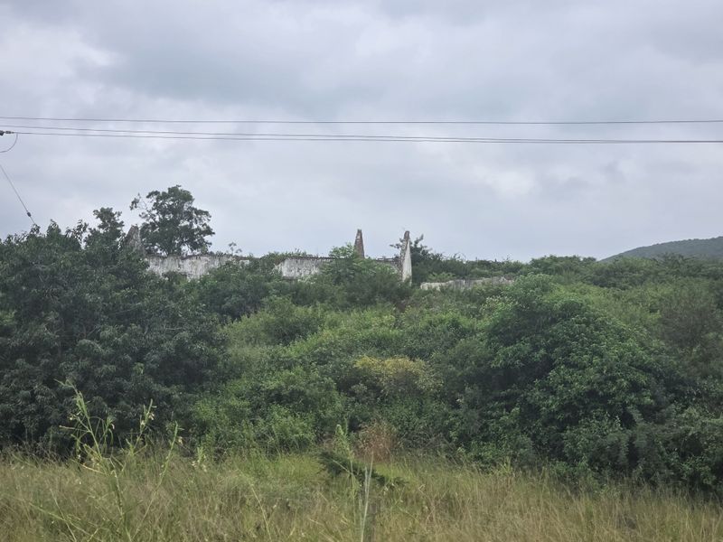 Your Peaceful 4.5-Hectare Countryside Haven - Photo 10