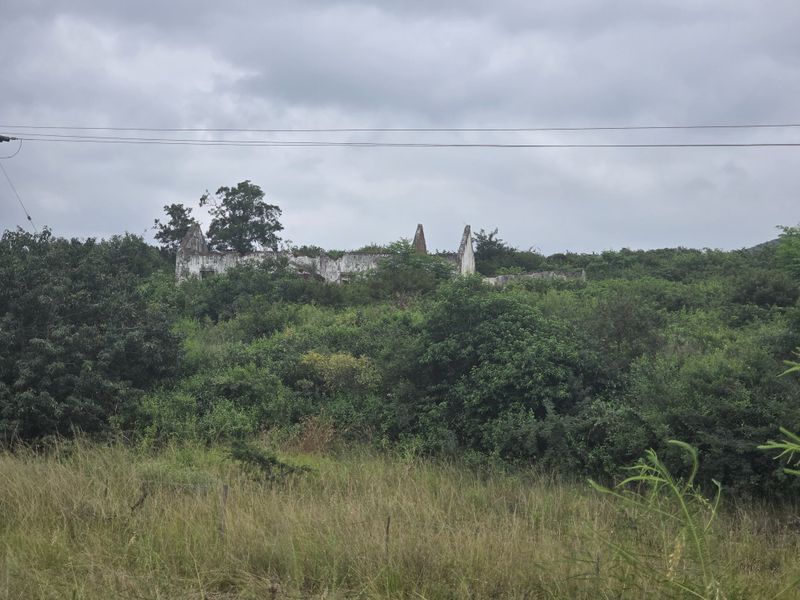 Your Peaceful 4.5-Hectare Countryside Haven - Photo 7