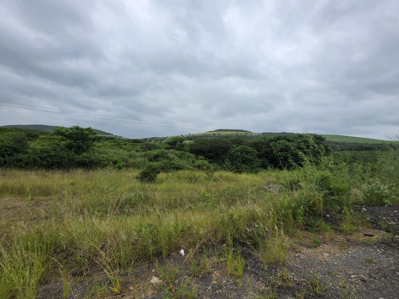 Your Peaceful 4.5-Hectare Countryside Haven - Photo 8