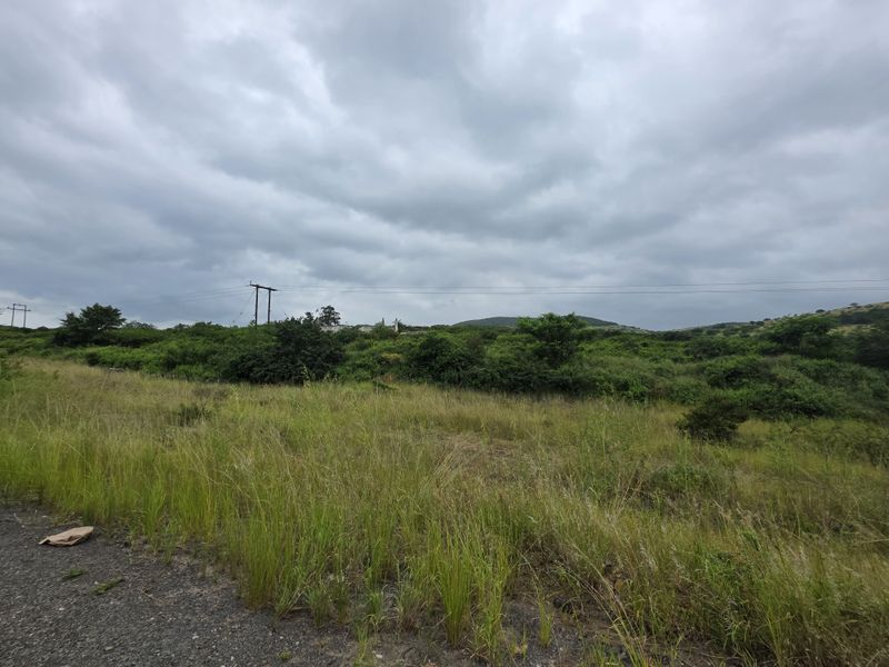 Your Peaceful 4.5-Hectare Countryside Haven - Photo 9