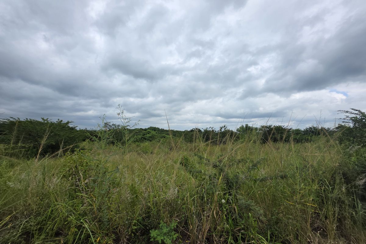 Your Peaceful 4.5-Hectare Countryside Haven - Photo 5