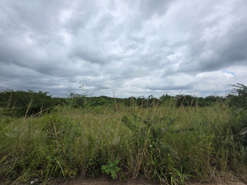 Your Peaceful 4.5-Hectare Countryside Haven - Photo 5