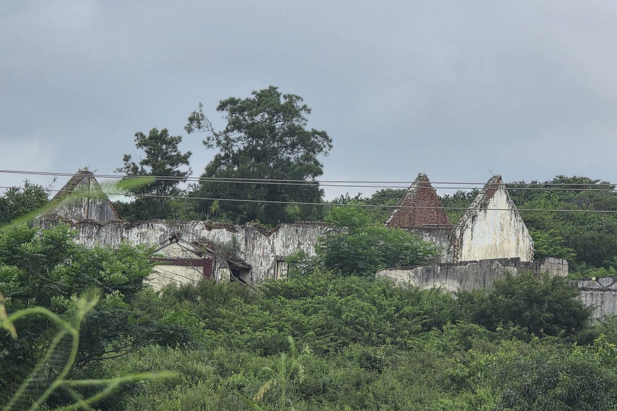 Your Peaceful 4.5-Hectare Countryside Haven - Photo 3