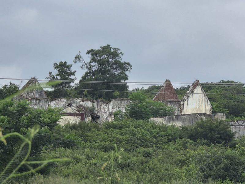 Your Peaceful 4.5-Hectare Countryside Haven - Photo 3