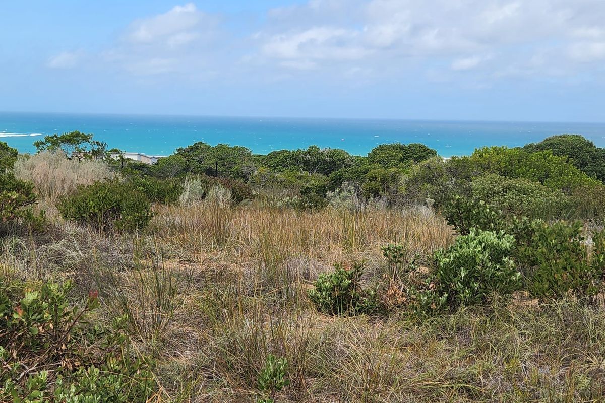 Seaside Serenity – Prime Plot & Plan Opportunity in Skulpiesbaai - Photo 2