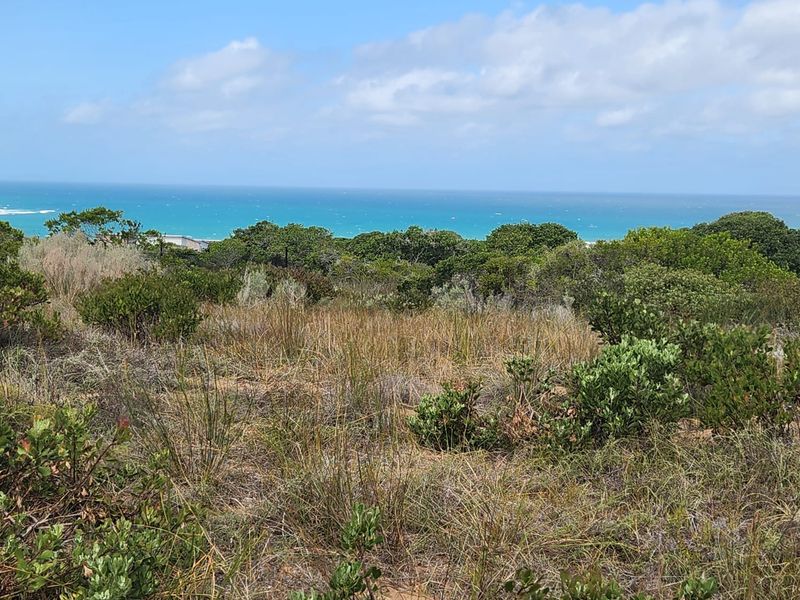 Seaside Serenity – Prime Plot & Plan Opportunity in Skulpiesbaai - Photo 2