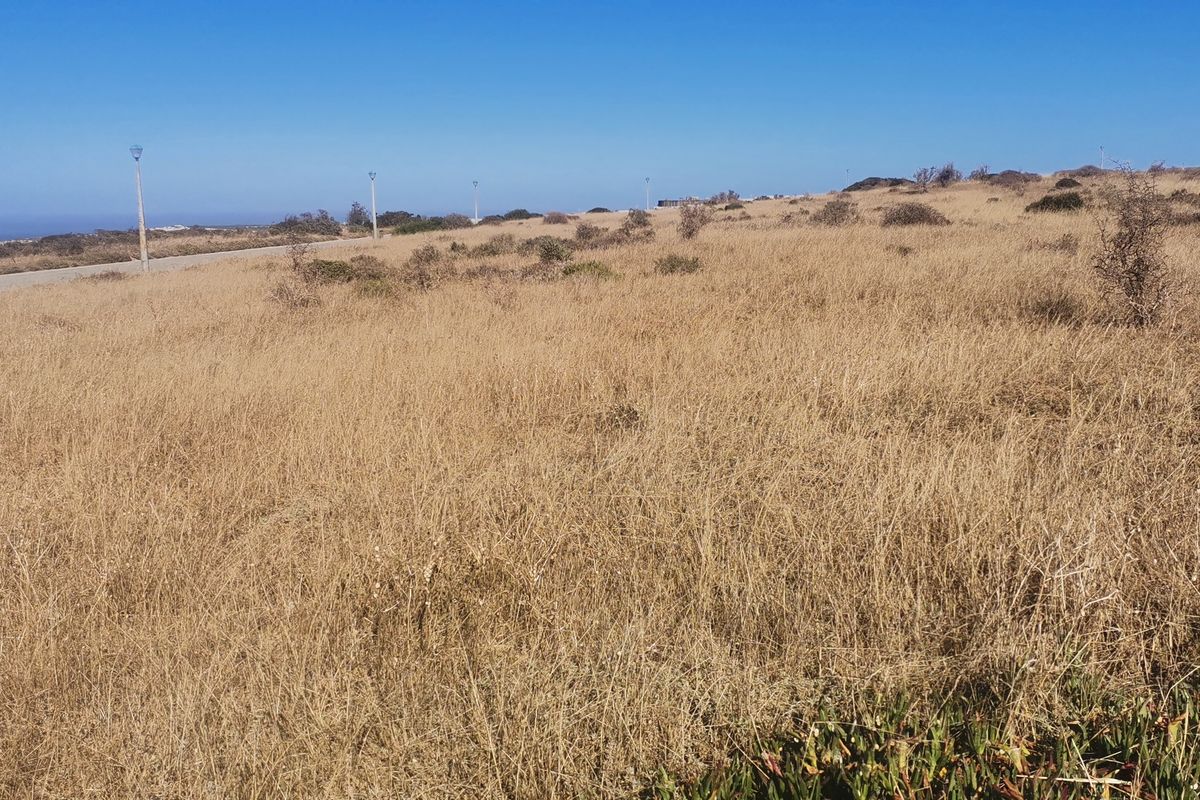 Vacant Land / Plot for Sale in Hoogland Estate Saldanha!!! - Photo 2