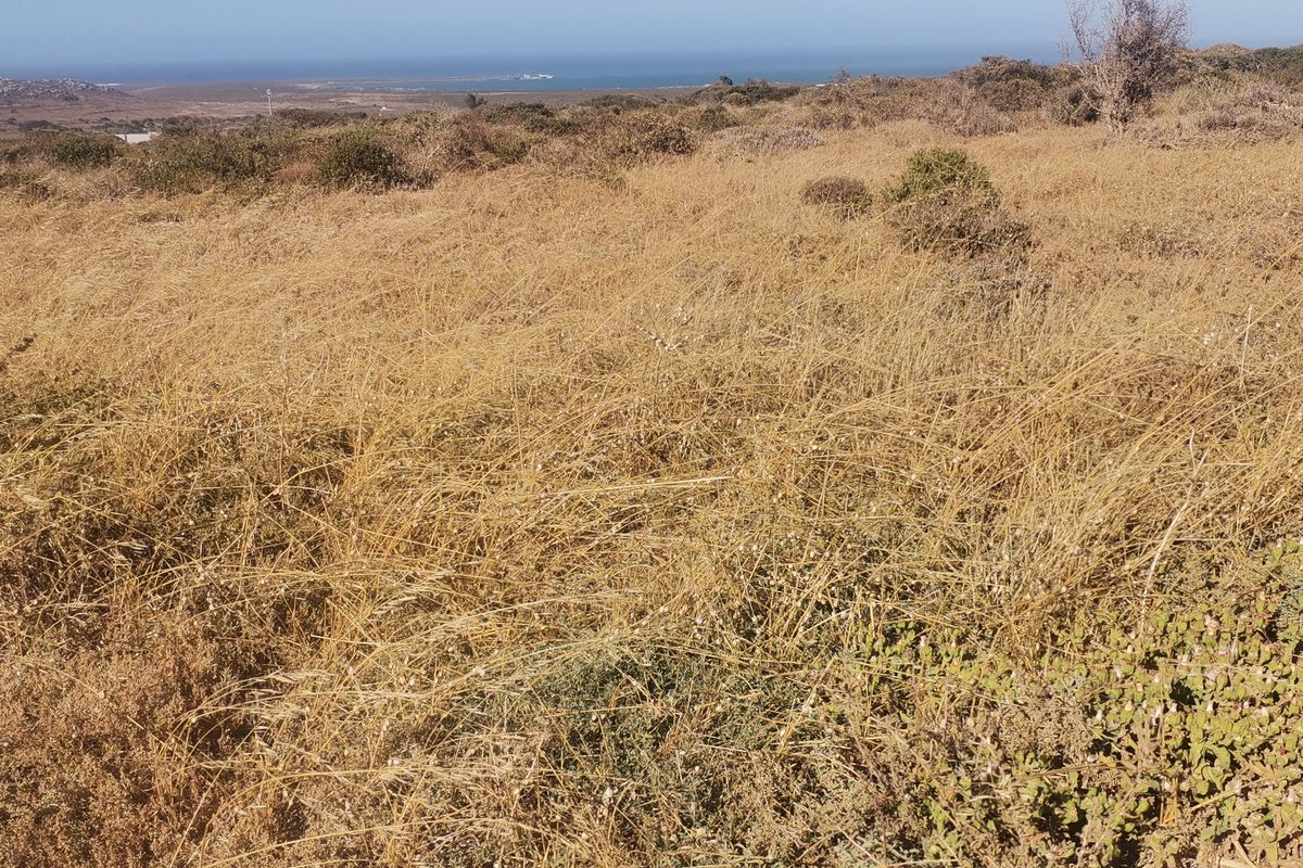 Vacant Land / Plot for Sale in Hoogland Estate Saldanha!!! - Photo 3