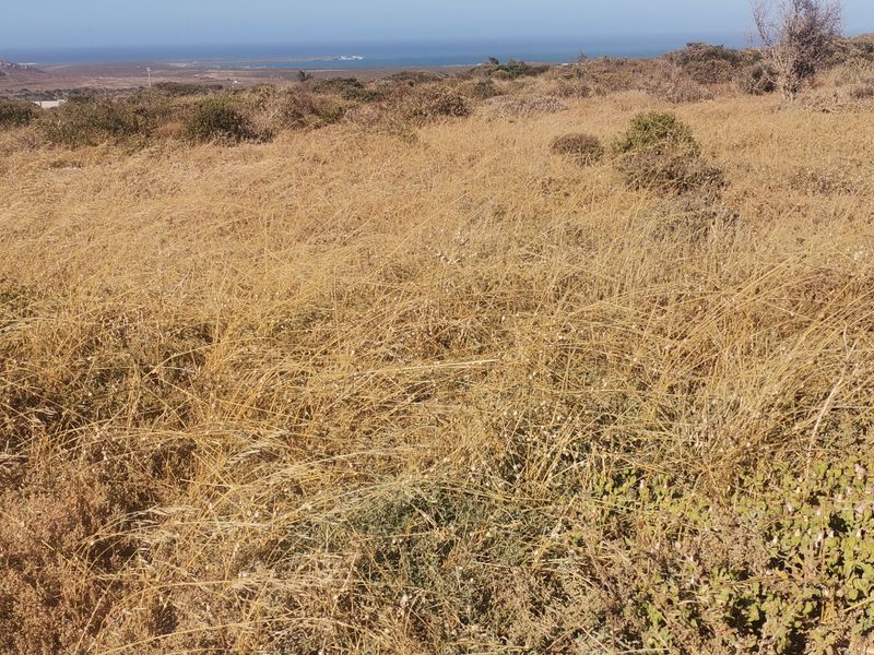 Vacant Land / Plot for Sale in Hoogland Estate Saldanha!!! - Photo 3