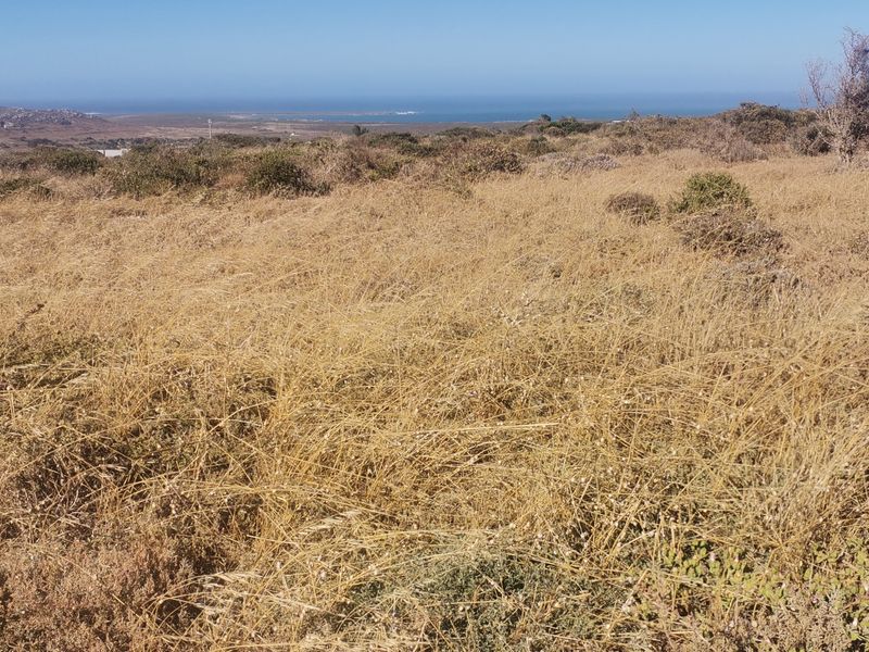 Vacant Land / Plot for Sale in Hoogland Estate Saldanha!!! - Photo 4