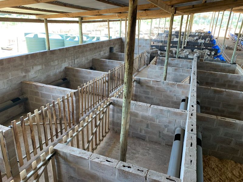A functional farm utility structure featuring concrete block pens, timber fencing, and a corrugated metal roof, designed for livestock management.