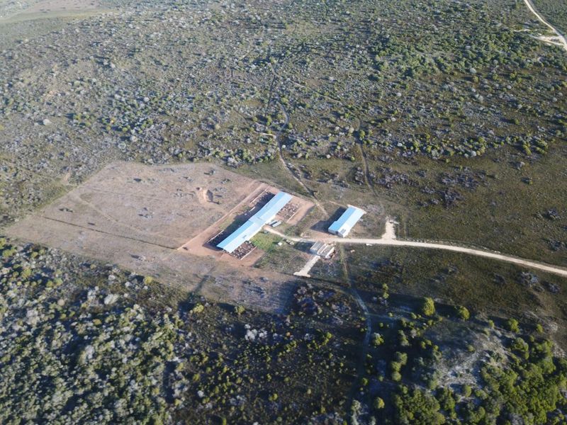Aerial view of a farm property featuring multiple metal-roofed agricultural buildings, gravel access roads, and fenced livestock enclosures set within a large rural landscape.