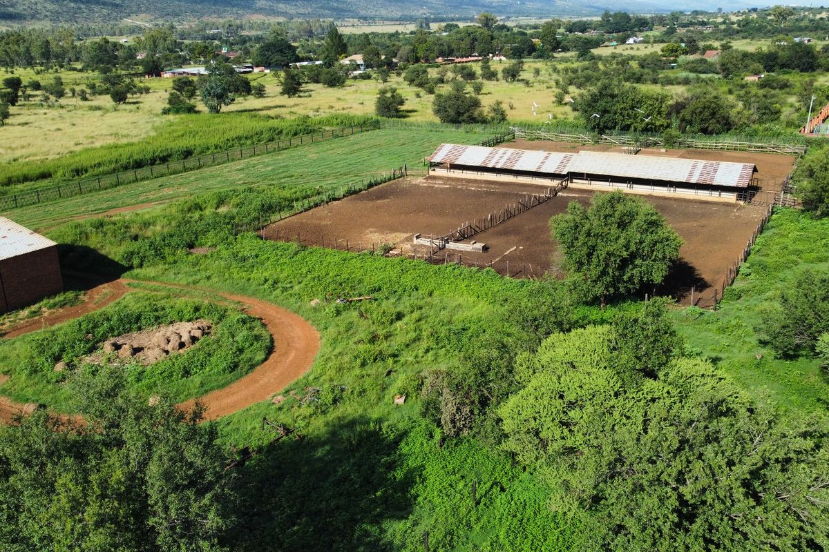 80ha Farm for Sale in Kameeldrift West – A Prime Agricultural Opportunity!!! - Photo 5