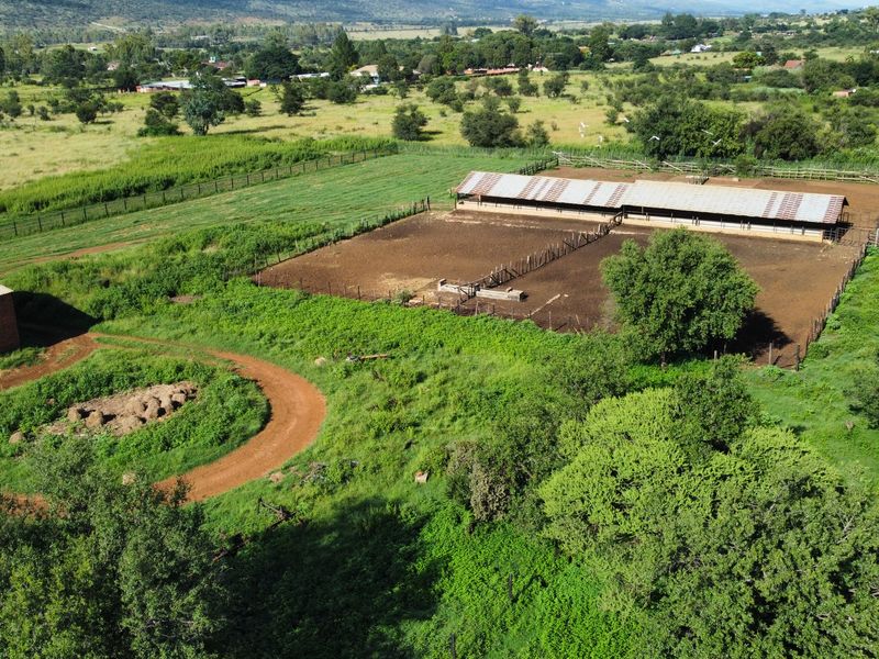 80ha Farm for Sale in Kameeldrift West – A Prime Agricultural Opportunity!!! - Photo 5
