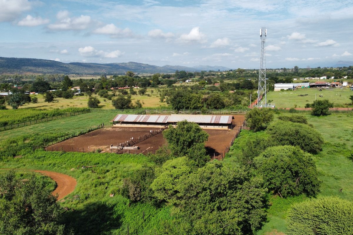 80ha Farm for Sale in Kameeldrift West – A Prime Agricultural Opportunity!!! - Photo 4