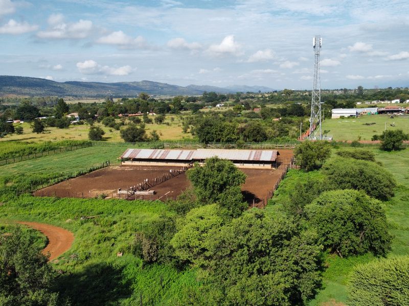 80ha Farm for Sale in Kameeldrift West – A Prime Agricultural Opportunity!!! - Photo 4