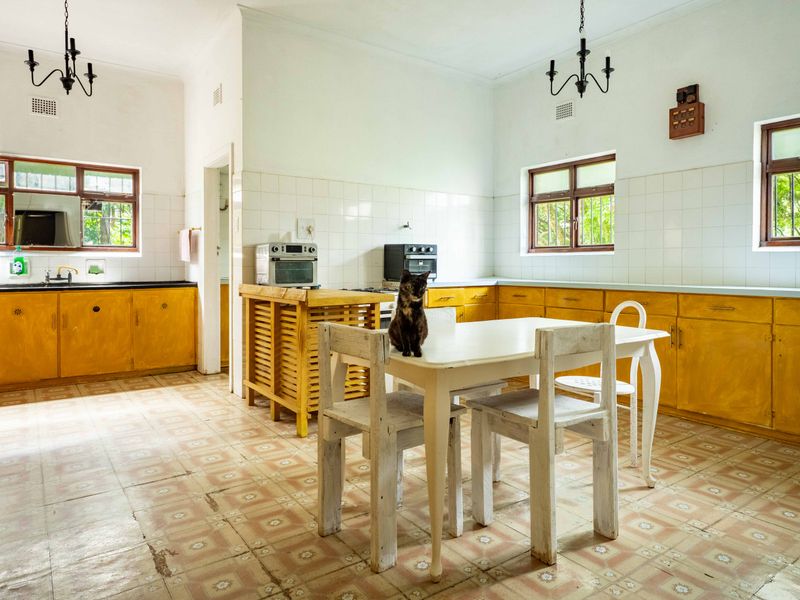 Timeless Elegance Meets Countryside Charm – A Working Farm with Endless Possibilities - Photo 3