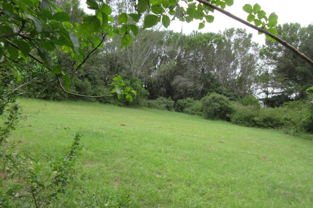 Vacant Stand For sale in Bathurst - Photo 5