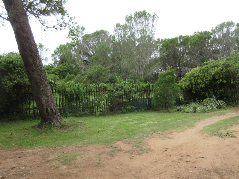 Vacant Stand For sale in Bathurst - Photo 6