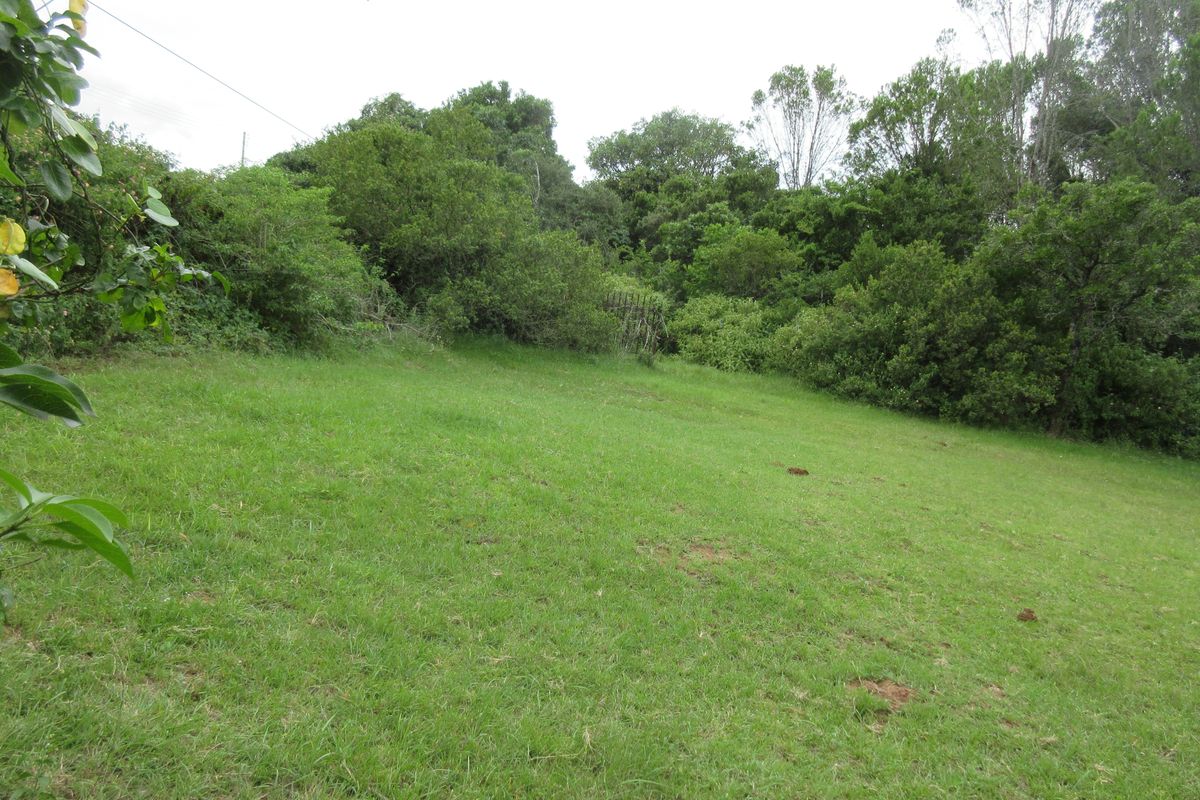 Vacant Stand For sale in Bathurst - Photo 3